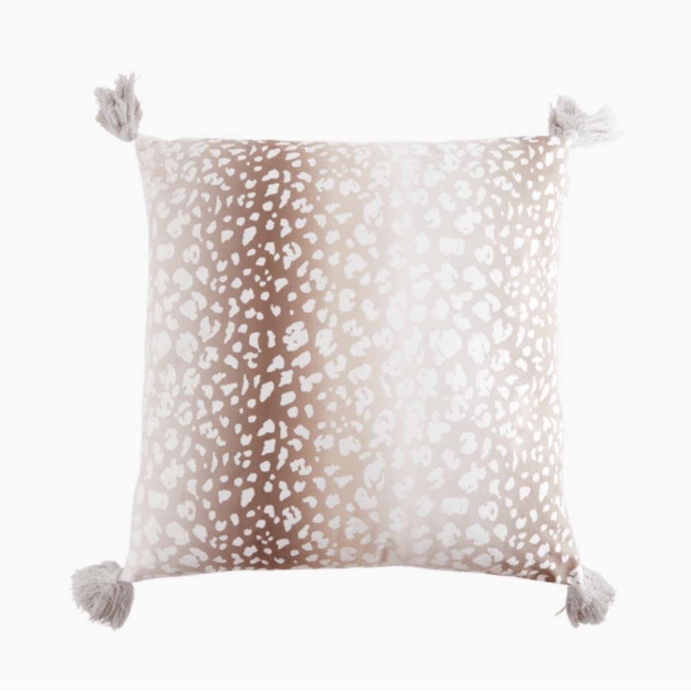Summer and Rose Cheetah Print Pillow Covers x2